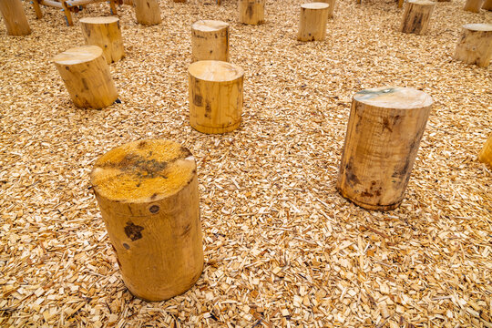 Natural wooden stumps arranged on a bed of wood chips for outdoor play and seating