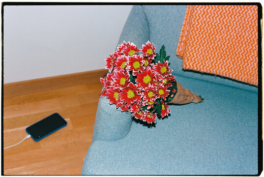 a bouquet rests on a sofa near a charging phone, 35mm film