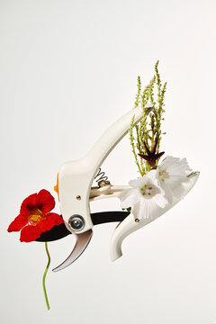 Creative use of pruning shears with flowers
