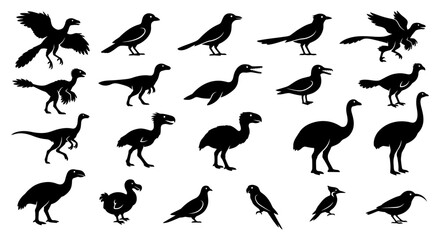 Prehistoric and modern bird silhouettes illustration set © Limon
