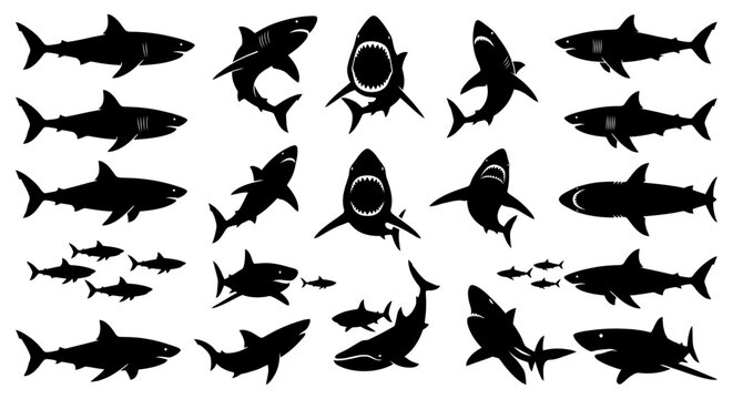 Shark silhouettes set predator fish vector icons