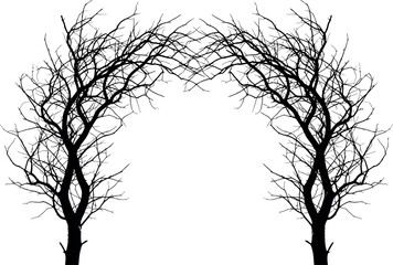 Fototapeta premium Pair of bare tree silhouettes forming a decorative arch design element on a clean background
