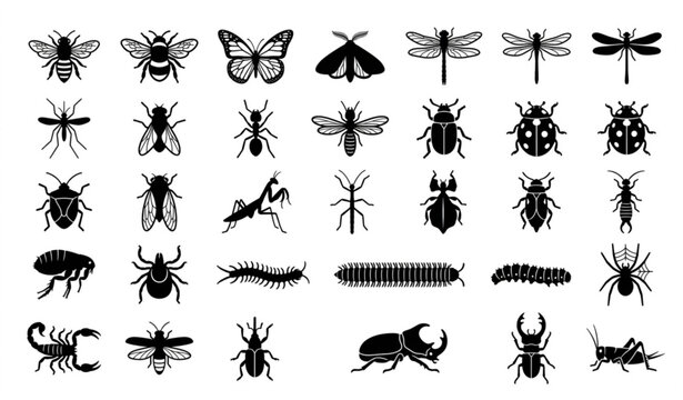 Flying and Crawling Insect Silhouette Icons &ndash; Editable Vector Set