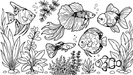 Black and white fish swimming with seaweed underwater © Hello World