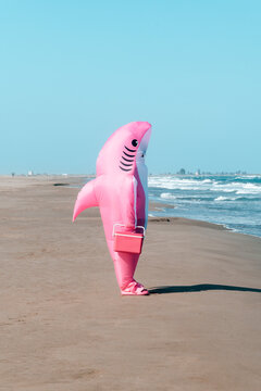 from the side, a man in a pink shark costume faces the windy sea