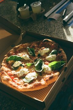 Cheese Pizza in warm sunlight