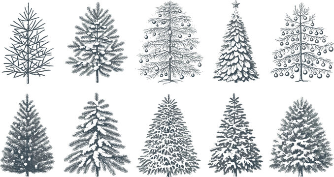 Detailed Pine Tree Engraving Vector Elements with Snowy Fir and Spruce Sketches in Traditional Woodcut Etching Style for Antique Christmas Pattern Designs