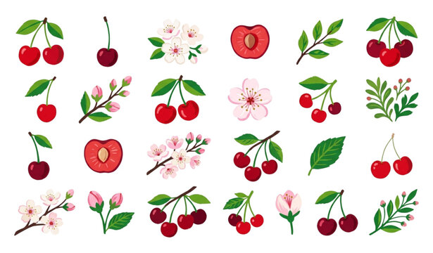 Vector gouache cherry berry illustration collection with blossoms and botanical leaves isolated on white background