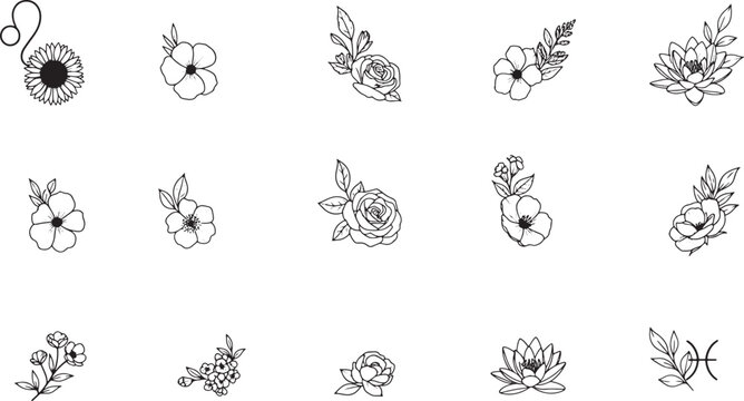Zodiac signs with floral elements and star constellations set as black line art vector illustration collection