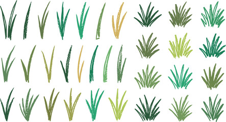 Hand drawn grass and foliage collection featuring green lawn tufts, wild plants, and natural vegetation elements, sketch style vector illustration set © Shekhor studioBD