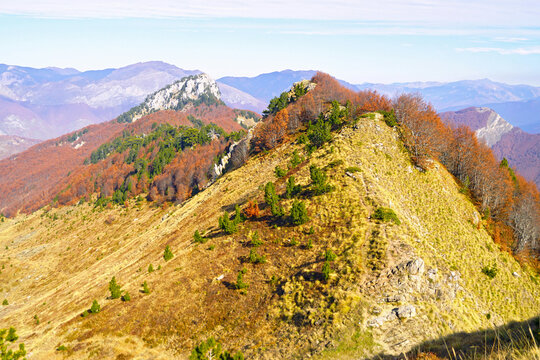 Ridge with Volu&scaron;nica peak in Prokletije, covered with golden grass and mixed conifer and beech forest. Presents forest ecotone transition, autumn wilderness scenery, and mountain ecosystem diversity. 