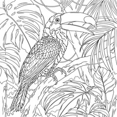 Obraz premium Toucan outline drawing.Coloring book antistress for children and adults. 