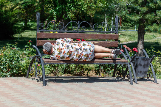 Man rests on park bench, sunlit, relaxed