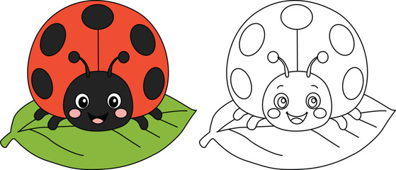 Cute cartoon ladybug sitting on a green leaf. Colored and black-and-white line art vector illustration for children's coloring books. © Vector_Mahabub