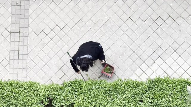 Mujer barriendo con escoba y cepillo recogedor en portal conserje limpiando calle portera trabajadora mantenimiento manager sweeping broom and dustpan woman en acera de adoqu&iacute;n y seto arbusto de finca