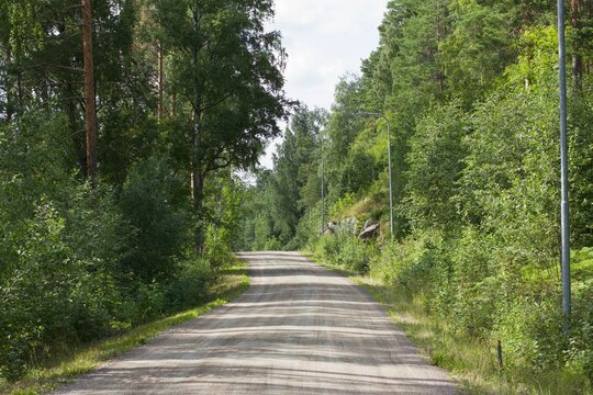 Empty gravel road winding through a lush green summer forest in Finland