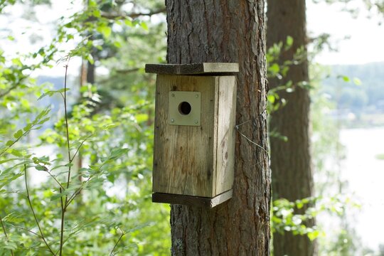 Wooden birdhouse attached to a pine tree trunk with a lake reflection in the background