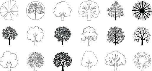 Collection of various tree in black and white line style, featuring different foliage shapes and trunk structures © Tanzila