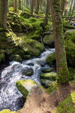  rapids on Filipova huť creek, Sumava, Czech republic