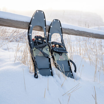 modern metal snowshoes for rolling terrain in winter scenery at foothills of Rocky Mountains in northern Colorado - Lory State Park