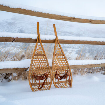 classic wooden Huron snowshoes in winter scenery at foothills of Rocky Mountains in northern Colorado - Lory State Park