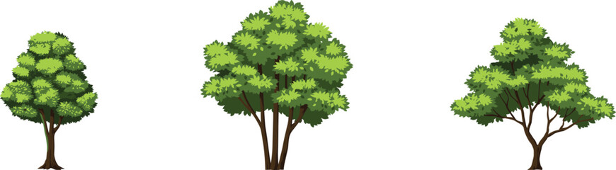 Three cartoon style green trees with brown trunks and vibrant leafy canopies on white background illustration © Shohidul