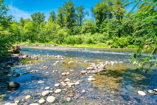 Washington River In Summer 4