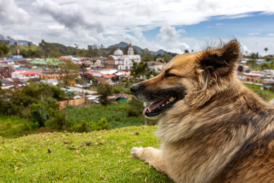 Disfrutando del paisaje