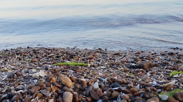 Wet Sea Pebbles and Shells on Beach Shore with Calm Clear Water, Perfect Macro Background Texture for Wellness Spa Website, Coastal Travel Banner, or Organic Cosmetics Packaging