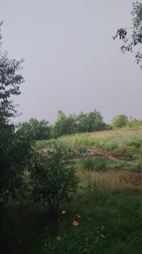 Summer Thunderstorm and Lightning Strike Over Rural Garden and Green Field, Perfect Dramatic Background for Weather Forecast Website, Climate Change Article, or Gardening Protection Promotion