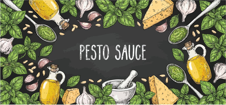 Hand Drawn Detailed Pesto Sauce Ingredient Frame with Basil Leaf Garlic and Pine Nut in Vintage Engraving Sketch Style Vector Illustration for Culinary Menu Design or Kitchen Wall Decor Border