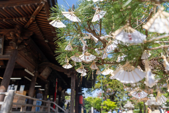 Miyazu Bay, Japan - The folding fans (sensu) at Chionji Temple, is a Japanese Zen Buddhism temple