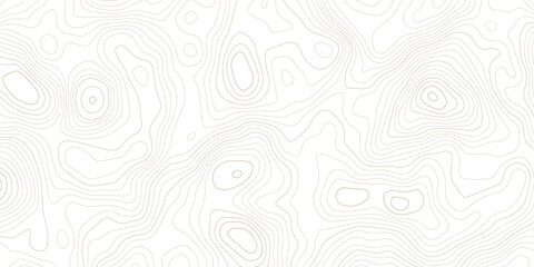Soft minimalist topographic contour line abstract background with topography abstract geography cartography elevation background geometric backdrop © MD