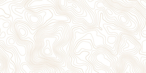 Fototapeta premium Organic topographic map lines pattern in subtle brown with topographic abstract elevation geography cartography minimalist geological background