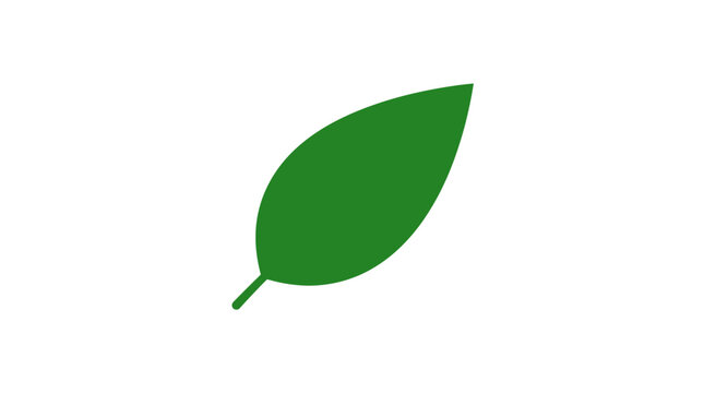 A green leaf is shown on a white background in close-up