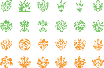 Set of seaweeds and corals © Md