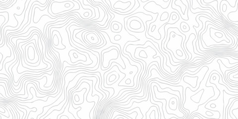 Abstract grid landscape topography white background. white and black relief line wireframe isoline location diagram world map texture design.   © MOHAMMAD