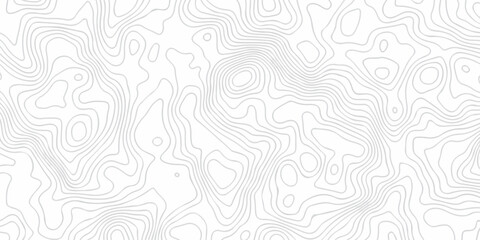 Abstract grid landscape topography white background. white and black relief line wireframe isoline location diagram world map texture design.   © MOHAMMAD