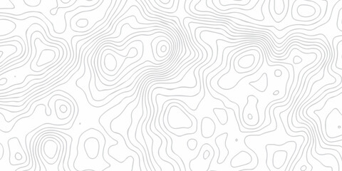 Abstract grid landscape topography white background. white and black relief line wireframe isoline location diagram world map texture design.   © MOHAMMAD