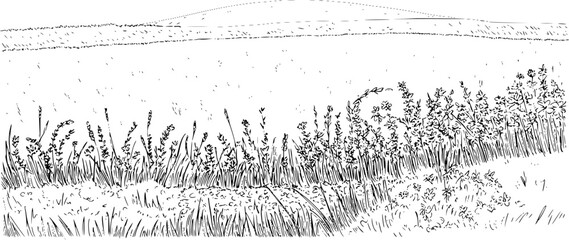 野の花と遠くに起伏のある丘がある草に覆われた牧草地の白黒の線画 © Lisa_Stock