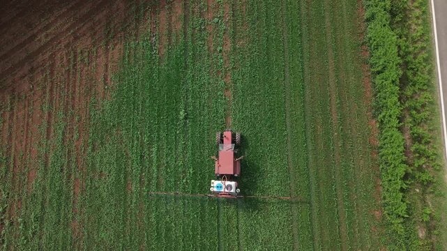 Agricultural tractor applying pesticide or fertilizer to young corn crops