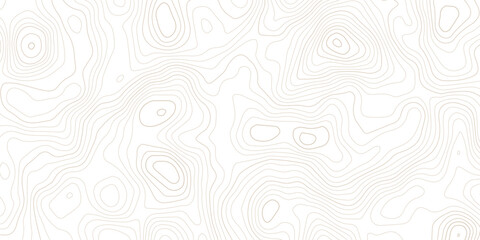 Abstract topographic map line art pattern design with topography abstract geography cartography elevation background geometric backdrop creative © MD