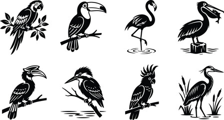 Exotic bird silhouette set featuring parrot, toucan, flamingo, pelican, hornbill, kingfisher, cockatoo, and heron design © MdAshik