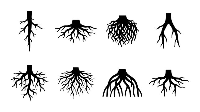 Diverse Root Systems Vector Icons, Black Silhouette Plant Foundations, Organic Growth Structures, Natural Branching Patterns