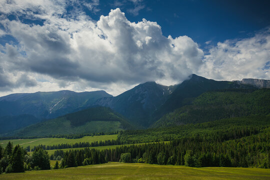 Sunlit green mountain valley with meadow, forested slopes in Zakopane Tatras mountains