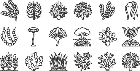 Set of seaweeds and coral icons © Md