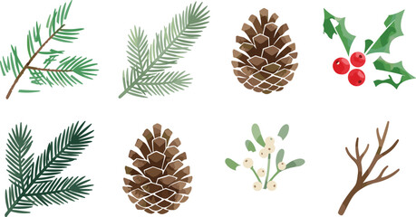 Fototapeta premium Rustic Winter Botanical Clipart Vector Set with Textured Pine Branches, Pinecones, Holly Berries, Mistletoe, and Bare Twigs for Christmas Holiday Designs