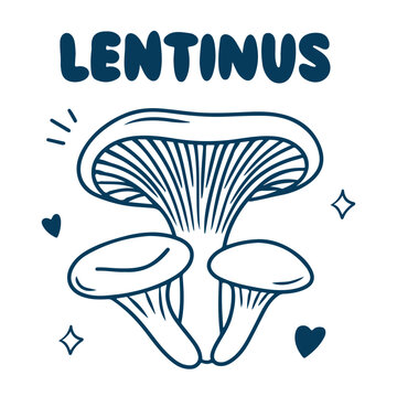 A dark blue hand-drawn illustration of lentinus mushrooms with hearts and stars on white. Doodle