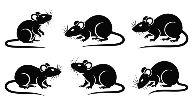 Collection of six stylized black silhouettes of mice in various poses isolated on a white background
