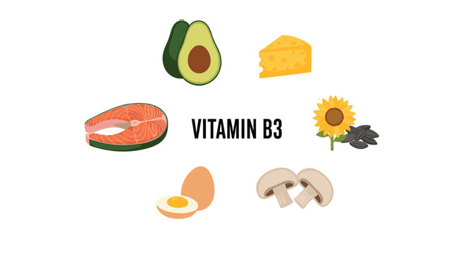 Informative healthy nutrition infographic for vitamin b3 showing rich food sources like avocado and salmon.